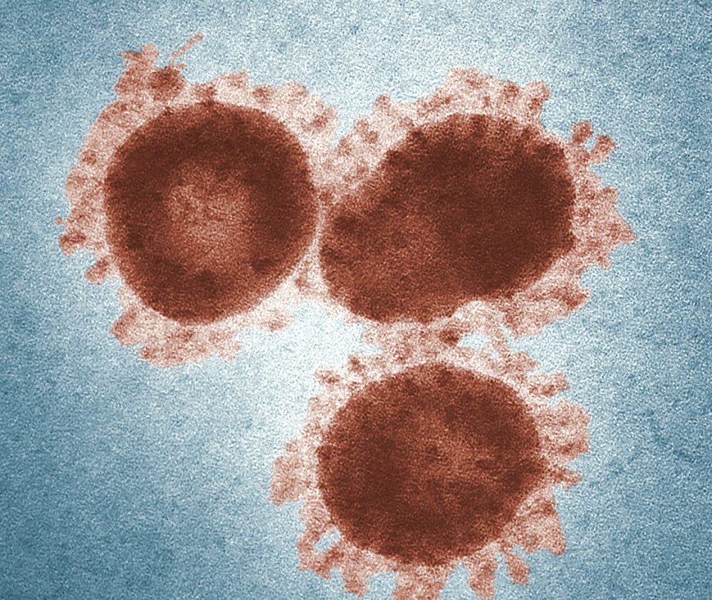 исследование вирусов